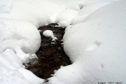 Šumava 2012