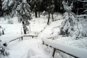 Šumava 2012