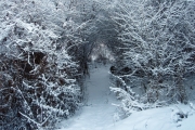 Krupinská planina