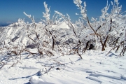 Malá Fatra 2012