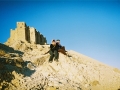 palmyra-25