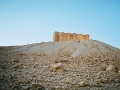 palmyra-26