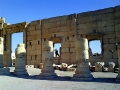 palmyra-27