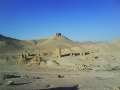 palmyra-28