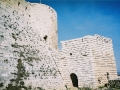 palmyra-30