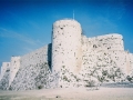 palmyra-31