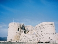 palmyra-32