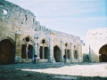 palmyra-33