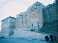 palmyra-35