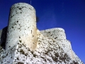 palmyra-36