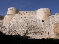 palmyra-37