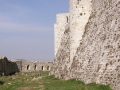 palmyra-39