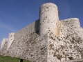 palmyra-40