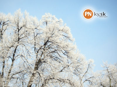 1600x1200-wallpaper-januar-2012-3