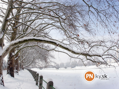 1600x1200-wallpaper-januar-2012-5