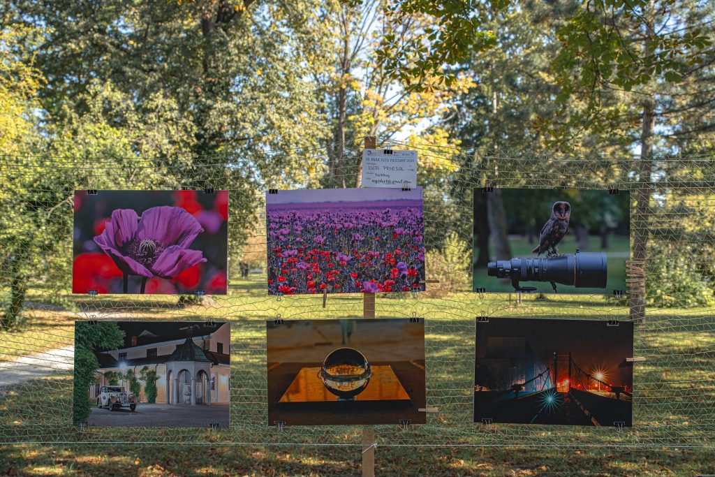 Fotografie autora Igor Priesol PN fotoklub Park Foto 2024