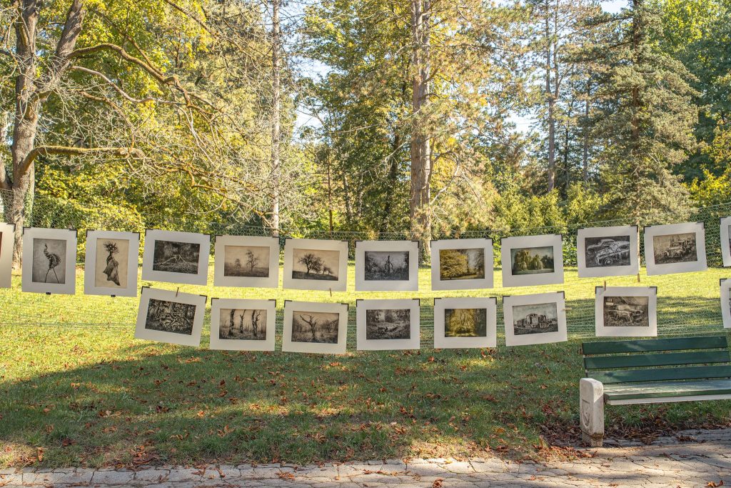 Fotografie, ktoré získali 1 miesto na Park Foto 2024 medzi dospelými. Ich autorom je Laci Viszoczky z Rožňavy