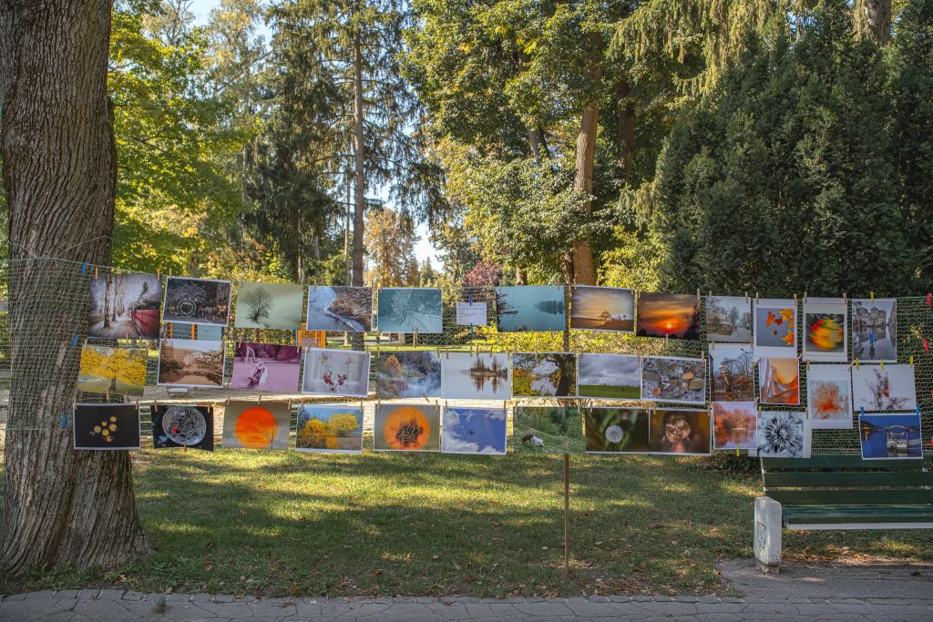 Fotografie Vojtech Hornák Park Foto 2024