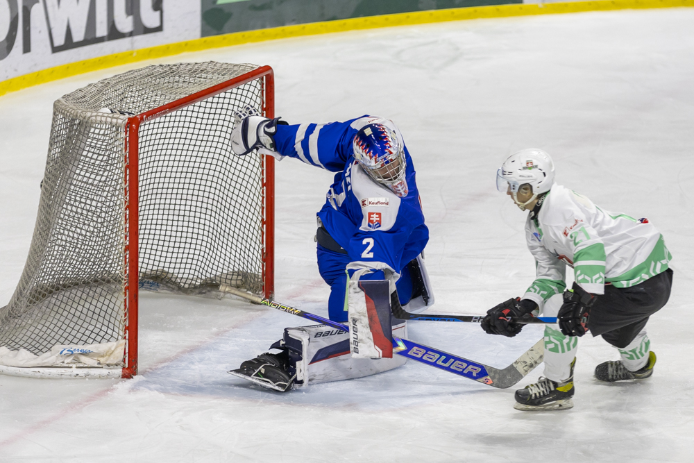Tipos Slovenská hokejová liga – JOJ ŠPORT Slovensko 18 : HK Skalica – 1:9 16.1.2025 Zimný štadión Piešťany