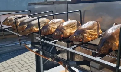 Údené pstruhy, Farmárske trhy