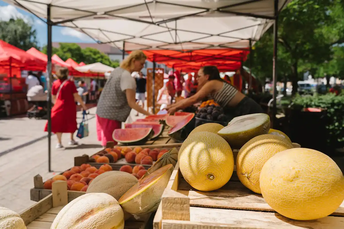 Melóny na farmárskych trhoch