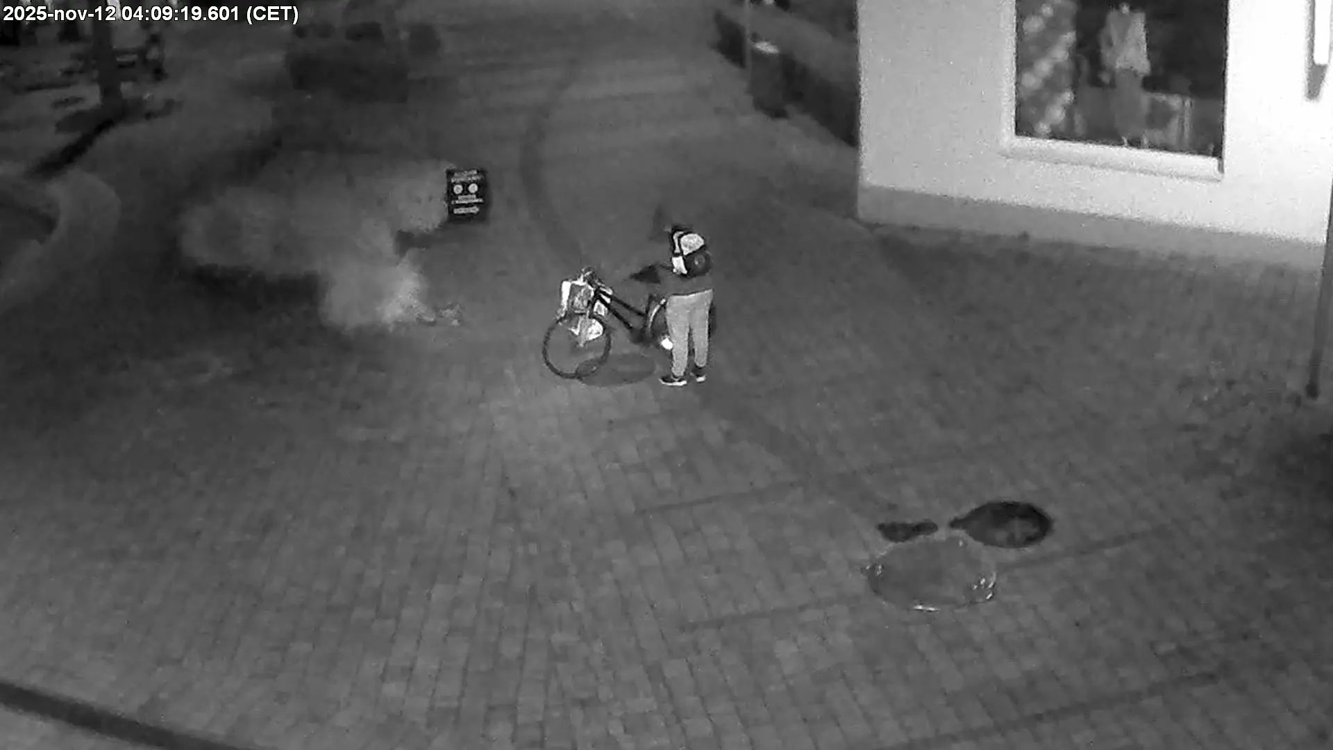 Snímka zlodeja bronzových reliéfov z piešťanskej pešejzóny