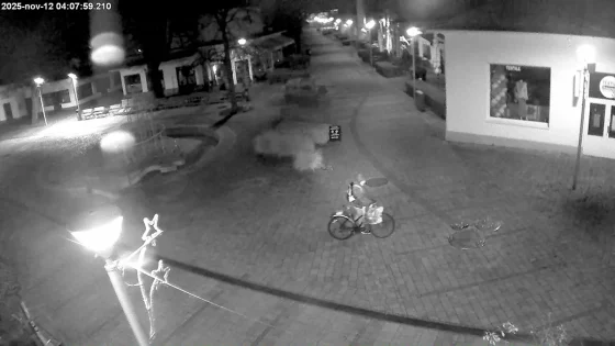 Snímka zlodeja bronzových reliéfov z piešťanskej pešejzóny