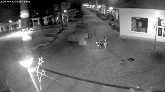 Snímka zlodeja bronzových reliéfov z piešťanskej pešejzóny