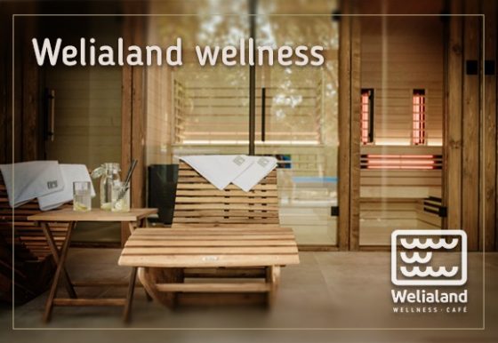 Welialand welness sauna