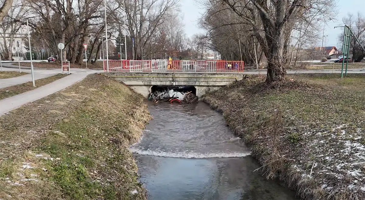 bobor hradza dubova odstranenie