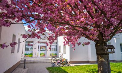 Cirkevná materská škola sv. Michala Archanjela