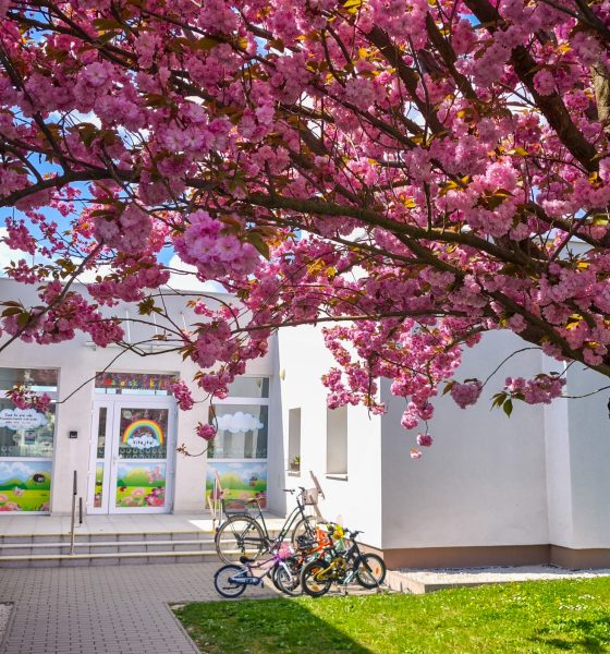 Cirkevná materská škola sv. Michala Archanjela