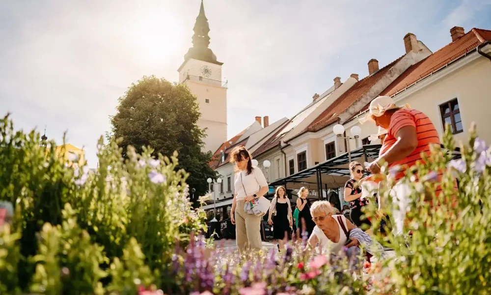 Májový kvet Trnava
