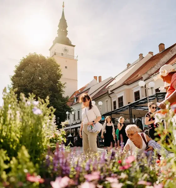 Májový kvet Trnava