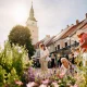 Májový kvet Trnava
