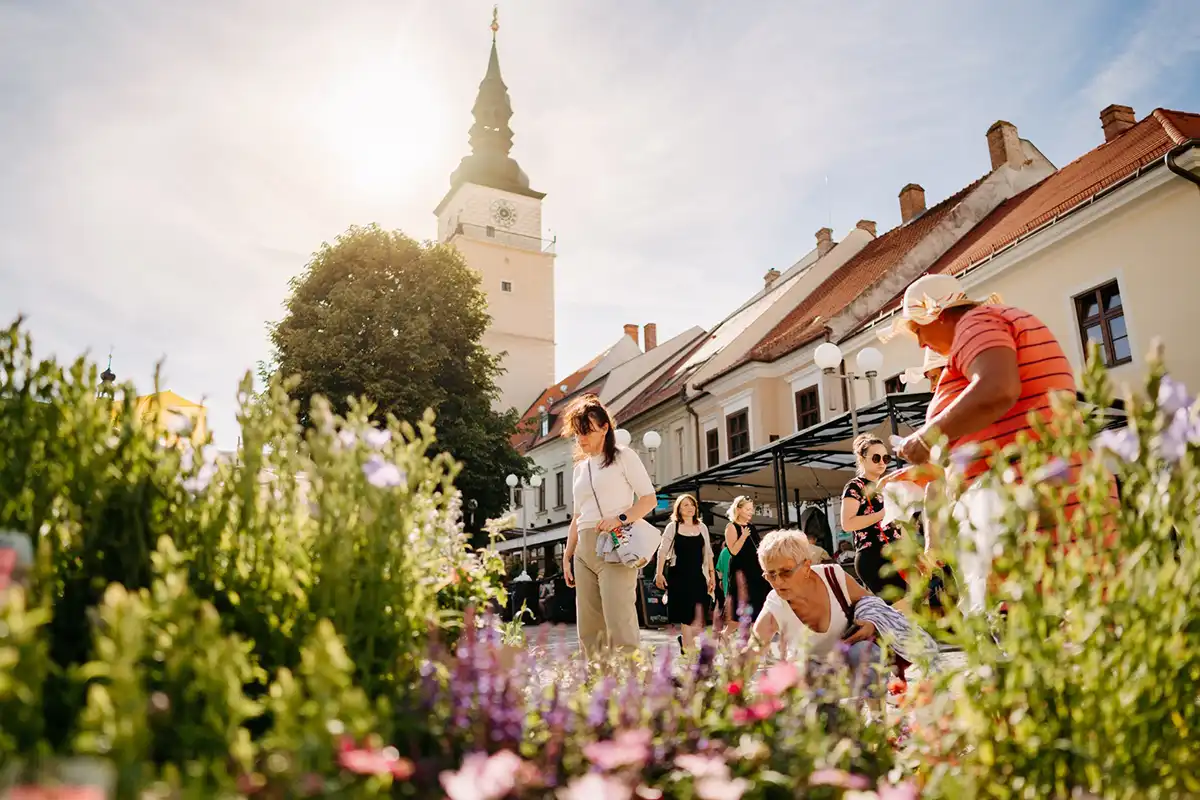 Májový kvet Trnava