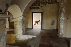 Artrooms-Moravany2020-1